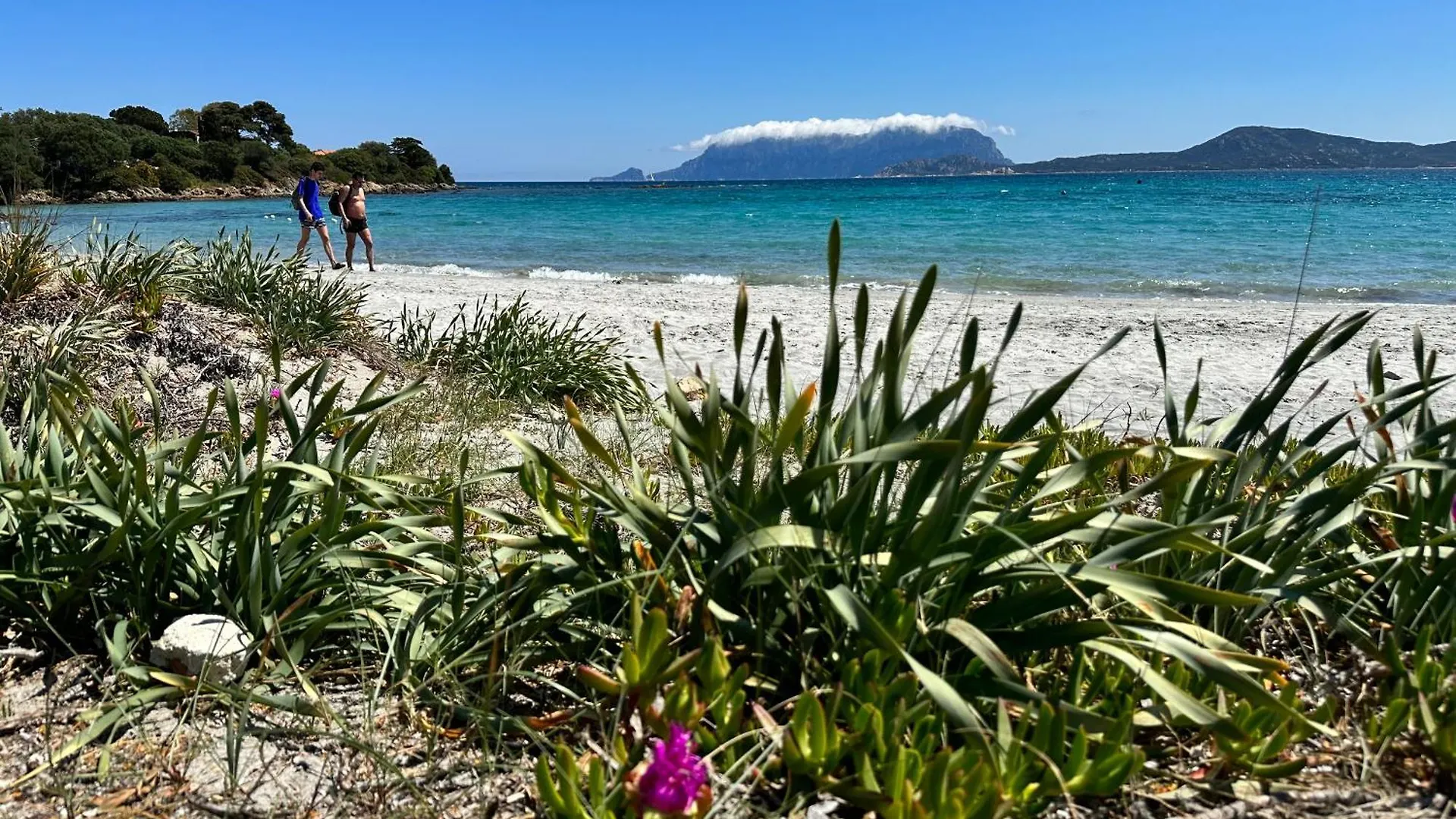 Appartamento Monolocale a due passi dal mare Olbia Italia